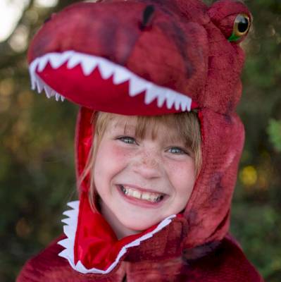 Déguisement anniversaire enfant : cape de dinosaure T-Rex