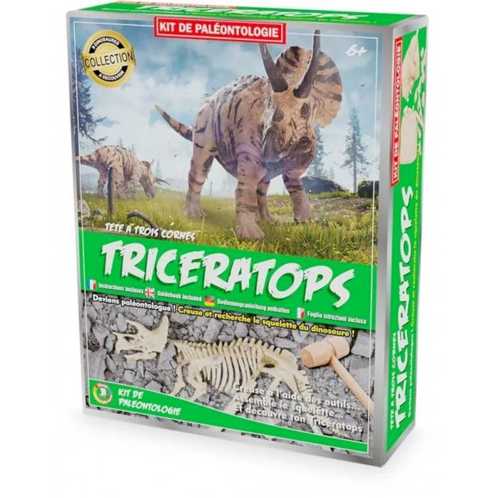Kit Paléo : Tricératops